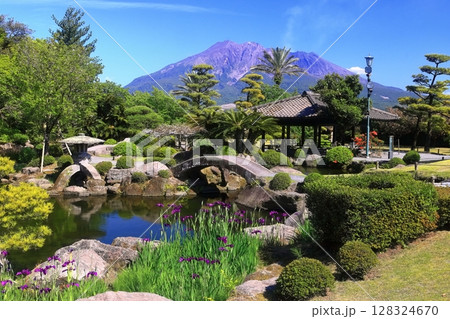 【鹿児島県】晴天の「名勝 仙巌園」から見た桜島 128324670