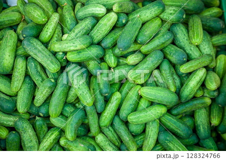 Cucumbers vegetable. Green background. 128324766