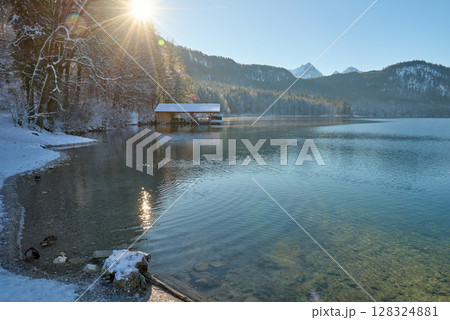 Serene Winter Wonderland: Two Graceful Swans Glide Across Icy Lake Surface Bathed in Golden Sunlight Pristine Frozen Landscape Showcases Nature's Tranquil Beauty on Crisp Winter Day Serene Winter Wonderland: Two Graceful Swans Glide Across Icy Lake Surface Bathed in Golden Sunlight Pristine Frozen Landscape Showcases Nature's Tranquil Beauty on Crisp Winter Day 128324881