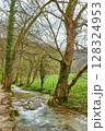 Serene Natural Landscape with Gently Flowing River, Lush Green Canopy, Rolling Hillside, Overcast Sky, Early Spring Atmosphere, 128324953
