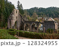 Ruins of medieval monastery in Black Forest, Germany – ancient gothic stone architecture surrounded by nature and historic houses 128324955