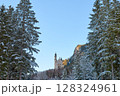 Large tree with snow and Neuschwanstein Castle in the background, capturing a serene winter scene with a Gothic castle in the distance, showcasing a picturesque and tranquil atmosphere. 128324961