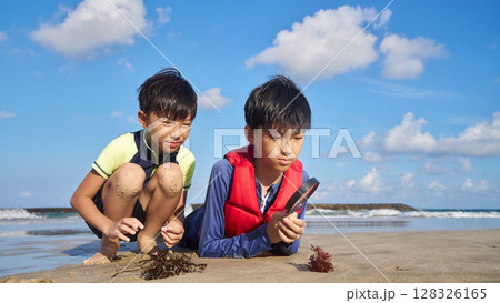 海辺の自由研究に夢中になる子供たちの夏休み 海辺の自由研究に夢中になる子供たちの夏休み 128326165