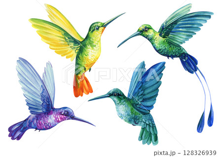 Hummingbirds watercolor clipart set tropical birds flying green blue yellow orange illustration for wall art, invitations fabric 128326939