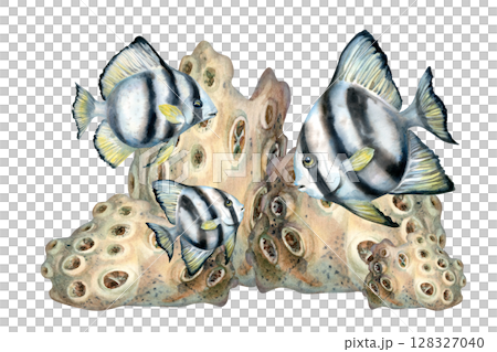 Black and white striped tropical fish hiding among beige corals on the reefs. Watercolor illustration of seascape in beige tones isolated on white background for sea design, diving, scrapbook, sticker 128327040