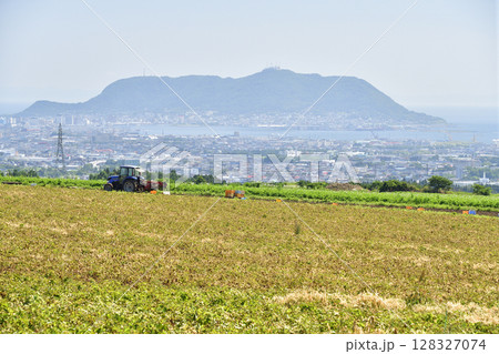 夏の北海道函館市で新ジャガイモの収穫風景を撮影 夏の北海道函館市で新ジャガイモの収穫風景を撮影 128327074