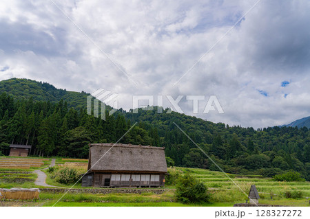 【世界遺産】稲の実った初秋の白川郷【岐阜県】 【世界遺産】稲の実った初秋の白川郷【岐阜県】 128327272