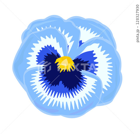 Single blue pansy close-up, colorful illustration 128327930
