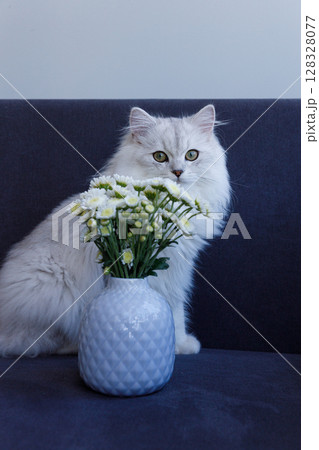 Charming White Cat Sitting Next to a Beautiful Floral Arrangement in a Stylish Vase on a Soft Couch, Offering a Cozy and Inviting Home Atmosphere for Pet Lovers and Flower Enthusiasts 128328077