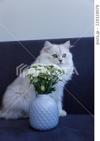 A Charming Scene Featuring a Beautiful Cat Sitting Gracefully Next to a Vase of Fresh Flowers on a Dark Sofa, Perfect for Creating a Cozy Home Ambiance A Charming Scene Featuring a Beautiful Cat Sitting Gracefully Next to a Vase of Fresh Flowers on a Dark Sofa, Perfect for Creating a Cozy Home Ambiance 128328078