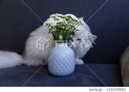 Curious Cat Exploring Beautiful Fresh Flowers in a Stylish White Vase on a Cozy Sofa Setting, Capturing a Charming Moment of Nature and Feline Fascination Curious Cat Exploring Beautiful Fresh Flowers in a Stylish White Vase on a Cozy Sofa Setting, Capturing a Charming Moment of Nature and Feline Fascination 128328082