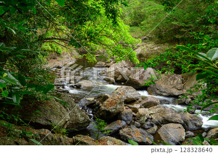 Along the Crystal Cascades near Cairns in Far North Queensland, locals and tourists enjoy swimming, hiking, picnicking, and exploring lush rainforest and freshwater streams. 128328640