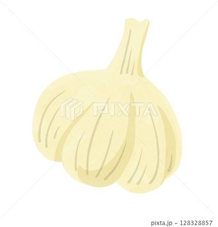 にんにく 水彩風手描きイラスト にんにく 水彩風手描きイラスト 128328857