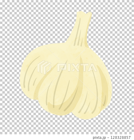 大蒜水彩手繪插畫 大蒜水彩手繪插畫 128328857