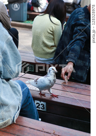 A pigeon approaches a person offering food in a bustling environment, showcasing interaction between humans and wildlife in an urban setting amidst casual gatherings. 128328978