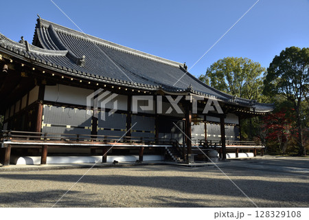 総本山仁和寺　金堂【国宝】　京都市右京区 128329108