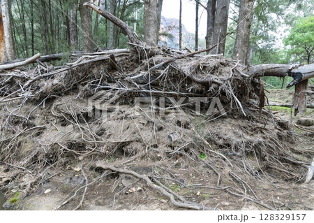 Flood damage at the Capertee River in the Wollemi National Park 128329157