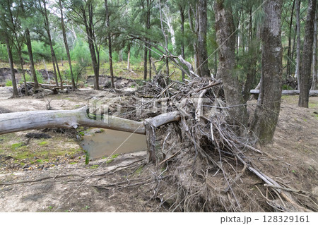 Flood damage at the Capertee River in the Wollemi National Park 128329161
