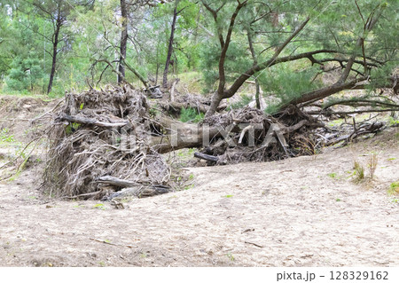 Flood damage at the Capertee River in the Wollemi National Park 128329162