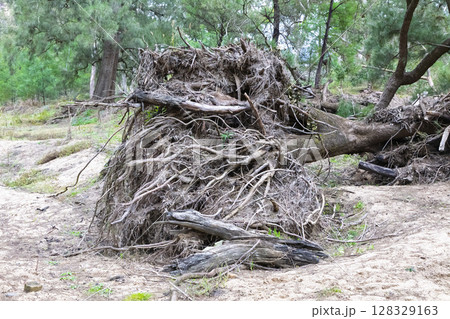 Flood damage at the Capertee River in the Wollemi National Park 128329163