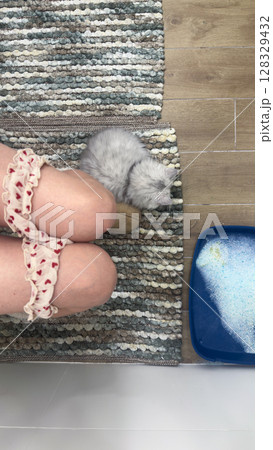 A Cozy Scene Featuring a Sleeping Kitten Nestled Between a Person's Legs on a Multicolored Area Rug in a Bright Room with a Litter Box in the Background A Cozy Scene Featuring a Sleeping Kitten Nestled Between a Person's Legs on a Multicolored Area Rug in a Bright Room with a Litter Box in the Background 128329432