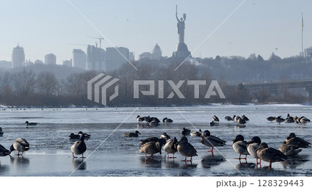 Stunning Winter Scene Featuring Ducks on Icy Water with City Skyline and Monument in the Background Under Clear Blue Skies and Gentle Morning Light 128329443