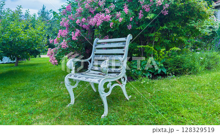 Charming White Metal Bench Surrounded by Lush Green Grass and Vibrant Blooming Pink Flowers in a Relaxing Garden Setting, Perfect for Leisurely Outdoor Moments 128329519