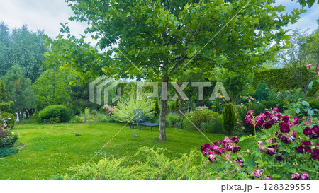 A Serene Garden Paradise: Lush Greenery and Vibrant Flowers Create a Peaceful Retreat for Nature Lovers and Garden Enthusiasts in This Captivating Outdoor Space A Serene Garden Paradise: Lush Greenery and Vibrant Flowers Create a Peaceful Retreat for Nature Lovers and Garden Enthusiasts in This Captivating Outdoor Space 128329555
