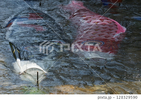 鳥取 四季の散歩 鯉のぼりが泳ぐ川 瀬戸川 鳥取 四季の散歩 鯉のぼりが泳ぐ川 瀬戸川 128329590