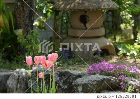 鳥取 四季の散歩 鯉のぼりが泳ぐ川 瀬戸川 鳥取 四季の散歩 鯉のぼりが泳ぐ川 瀬戸川 128329591