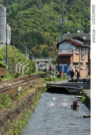 鳥取 四季の散歩 鯉のぼりが泳ぐ川 瀬戸川 鳥取 四季の散歩 鯉のぼりが泳ぐ川 瀬戸川 128329600