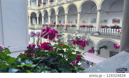 Vibrant Blossoms in a Charming Courtyard: A Serene Escape into Nature's Beauty Amidst Historic Architecture and Colorful Floral Displays in a Quaint Outdoor Setting 128329826