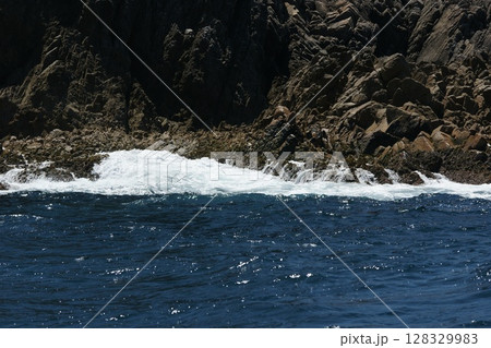 鳥取　四季の散歩　春　松島　遊覧船 128329983