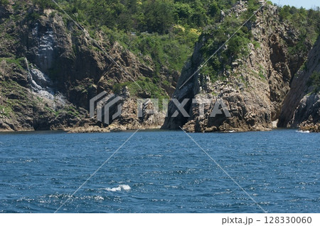 鳥取　四季の散歩　春　松島　遊覧船 128330060