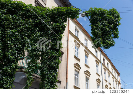 A Vibrant Green Canopy Resembling a Nature-Laden Facade Intertwined with Modern Architecture and Cables Under a Clear Blue Sky 128330244