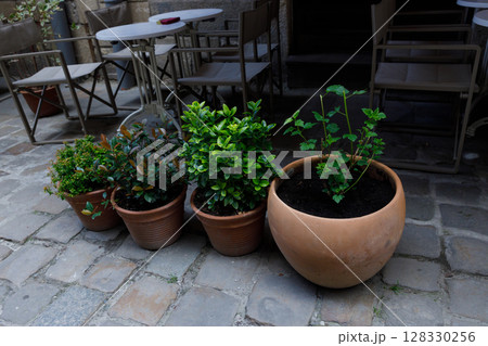 Charming Outdoor Patio Area Featuring Potted Plants in a Cozy Courtyard Setting with Elegant Furniture and Stone Pavers, Inviting Atmosphere for Relaxation and Enjoyment 128330256