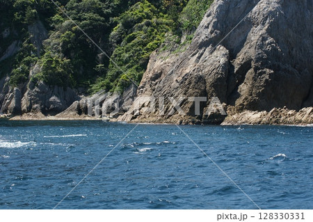 鳥取 四季の散歩 春 松島 遊覧船 鳥取 四季の散歩 春 松島 遊覧船 128330331