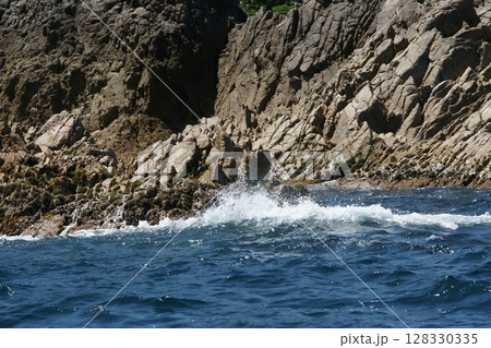 鳥取 四季の散歩 春 松島 遊覧船 鳥取 四季の散歩 春 松島 遊覧船 128330335
