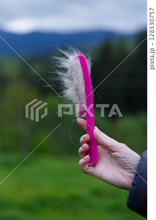 A Bright Pink Pet Brush Filled with Shedded Fur in a Person's Hand Against a Picture-Perfect Background of Lush Green Landscapes and Distant Mountains A Bright Pink Pet Brush Filled with Shedded Fur in a Person's Hand Against a Picture-Perfect Background of Lush Green Landscapes and Distant Mountains 128330757