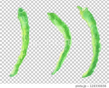 伏見胡椒的水彩插圖—京都蔬菜 128330836