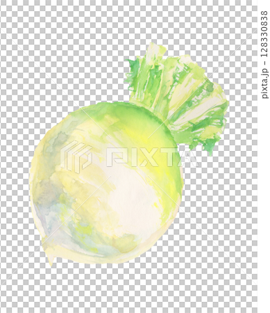 聖護院蘿蔔的水彩畫－京都蔬菜 128330838