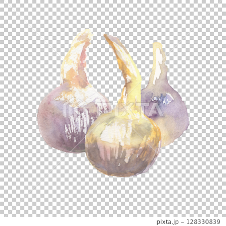 慈姑水彩插畫-吉祥發芽的京都蔬菜 128330839