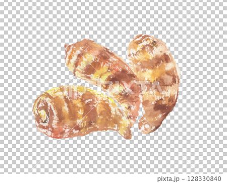 海老芋の水彩イラスト – 縞模様が美しい京野菜 128330840