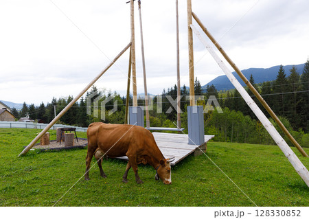 A Tranquil Pastoral Scene Featuring a Grazing Cow, Surrounding Greenery, and Traditional Farm Elements in a Scenic Landscape Setting with Mountains in the Background 128330852