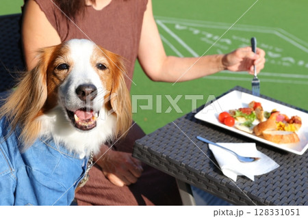 ドッグカフェで食事する犬と飼い主 ドッグカフェで食事する犬と飼い主 128331051
