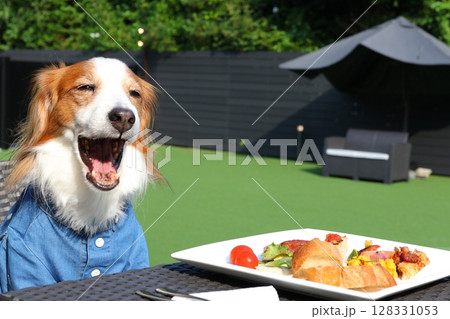 ドッグカフェで食事する犬 ドッグカフェで食事する犬 128331053