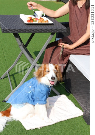 犬と過ごす青空のカフェテラスでの癒しのひととき 128331311