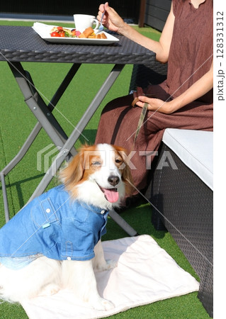 犬と過ごす青空のカフェテラスでの癒しのひととき 128331312