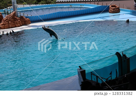 ジャンプして輪っかをくわえるイルカがいる水族館のプールのショーの風景 128331382