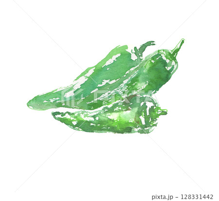 万願寺とうがらしの水彩イラスト  128331442